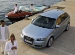 Audi A3 Sportback 1.9 TDI 2004 года (WW)